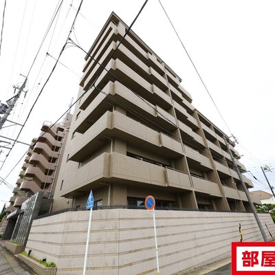 どっしりした外観ですね。
