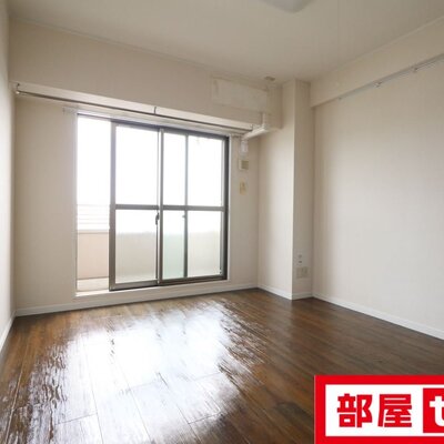 日差しが良く入ります