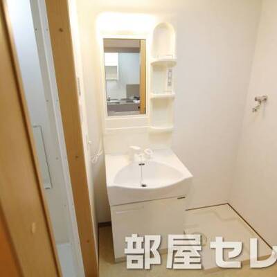 洗髪洗面化粧台。他号室の写真です。